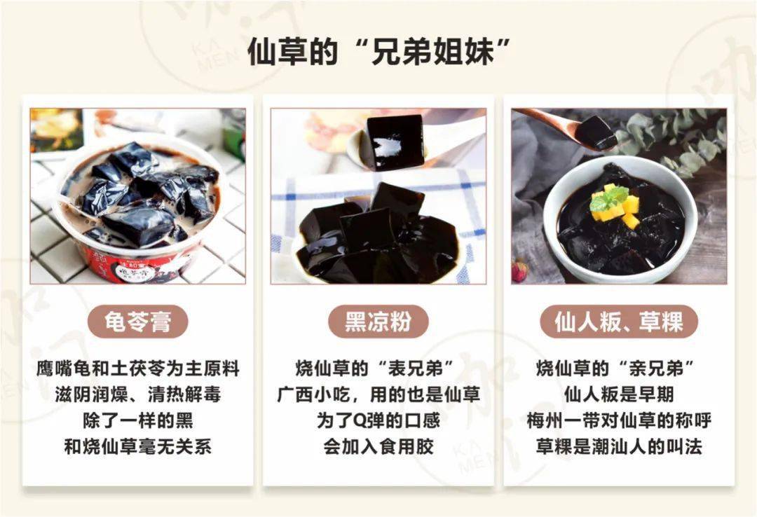 “中国仙草”发展简史:从街头小吃到年销过亿杯_种植