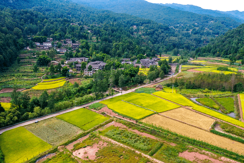 铁溪镇木关坝村小伙伴们,以上乡村是否有你的家乡呢你觉得哪个乡村