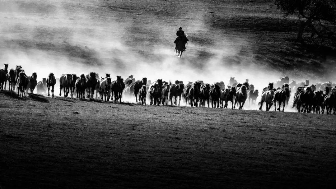 《风烟滚滚》林喆(1902)