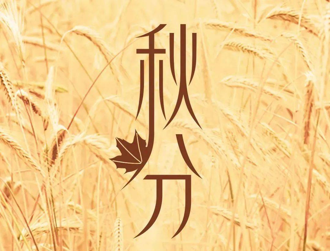 二十四节气 | 秋分到,农事忙