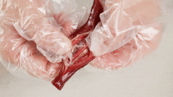 时髦精牛肉干来啦胖友zui爱