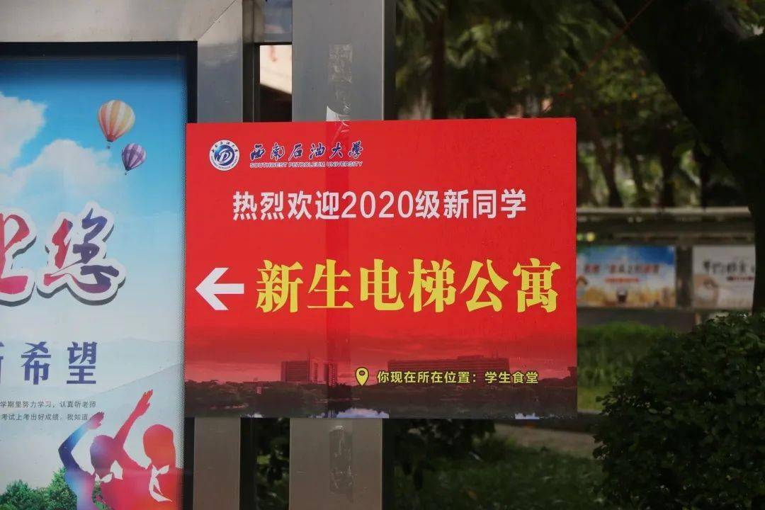 迎新志愿者风采|西柚专属迎新姿势