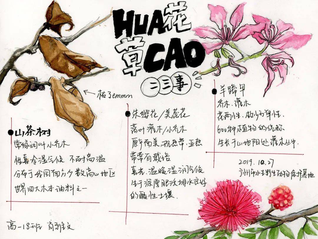 广雅中学自然观察特色课程累累硕果