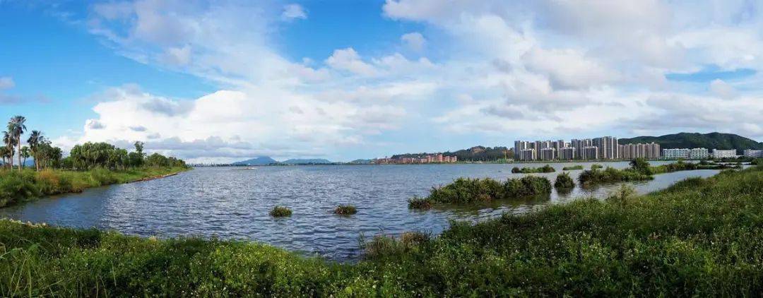 珠海金湾最大城市公园要来了!就在这里……_金湖