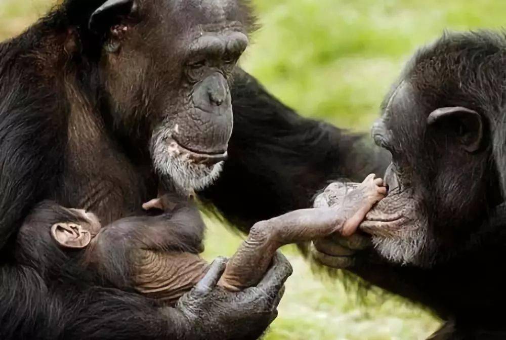 偷偷拍下的爱照