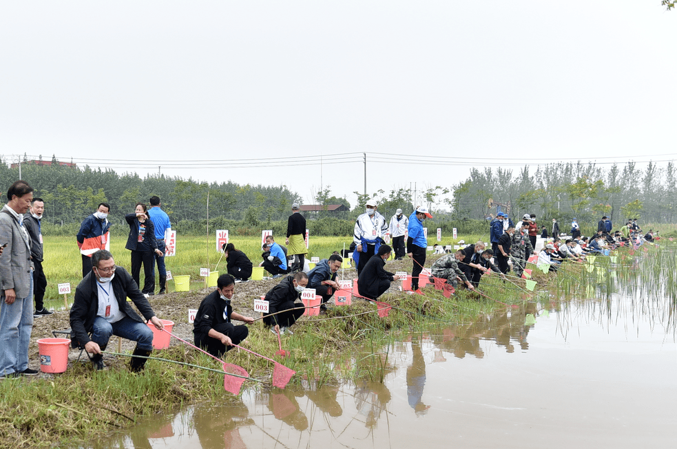 "虾"路相逢大比拼 | 全省首届农民钓虾比赛谁能胜?