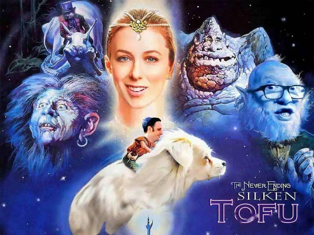 被美国喜剧明星领养ins坐拥63万粉丝这只中华田园犬到底有多牛