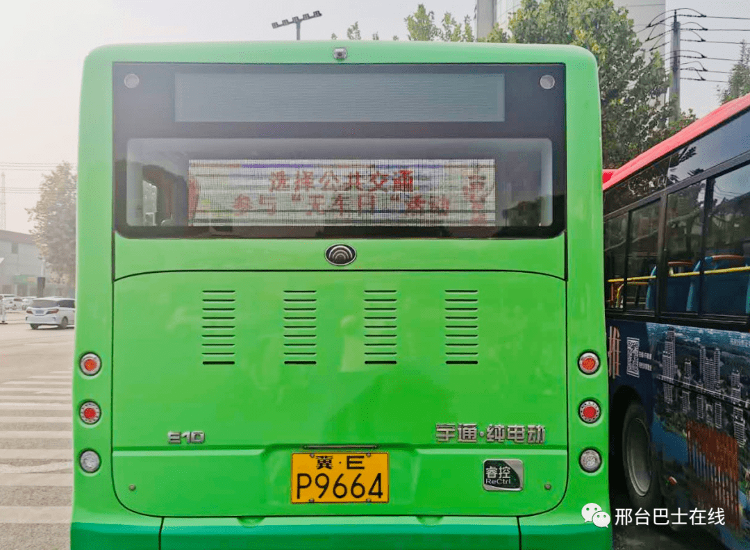 巴士在线绿色图片