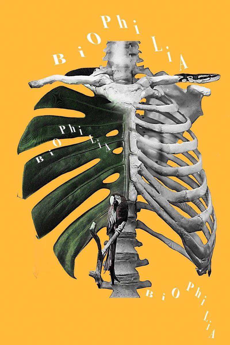 2020美国biophilia国际海报展获奖作品公布