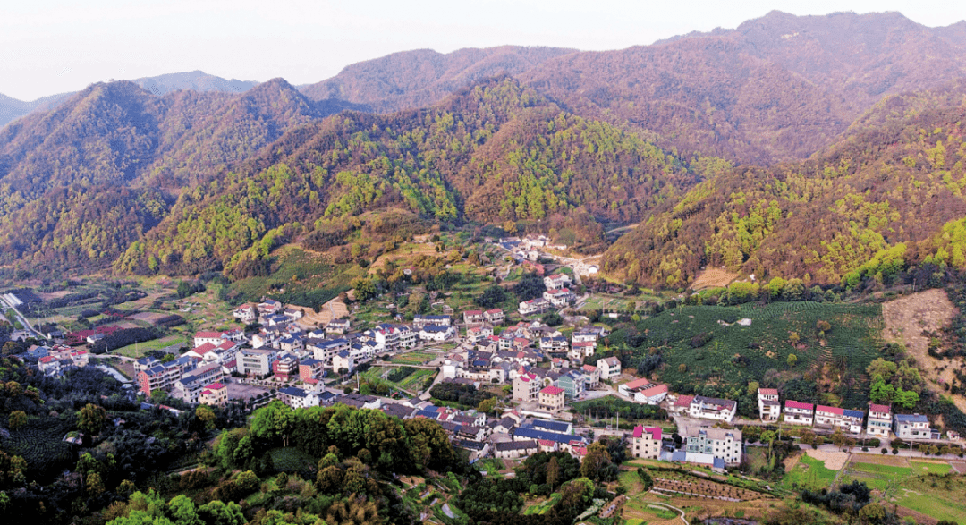 诸暨这个村隐于山水秘境间盛产花木真想去看看