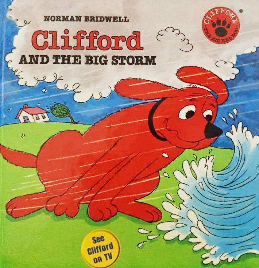 东城之星幼儿园新增精装英语绘本啦