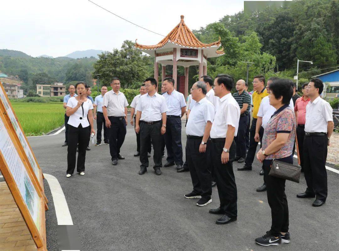 共探共享乡村振兴新路径_丰顺县