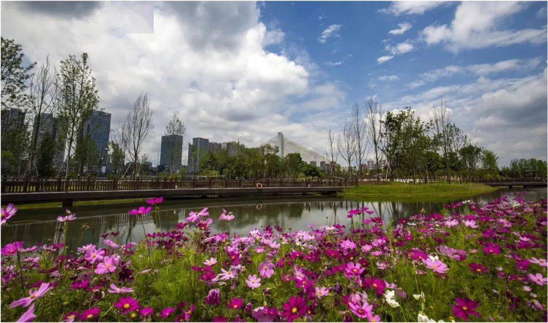 浮橋即將回歸印象嘉陵江溼地公園約起來