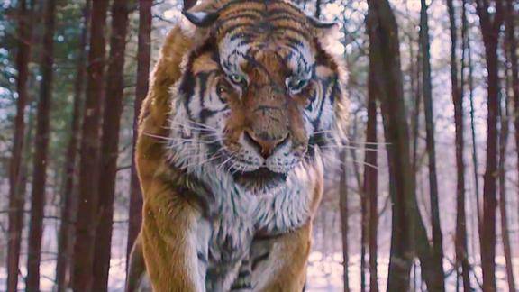 韩国电影大虎战争时期最后一只虎王武松都不一定降得住