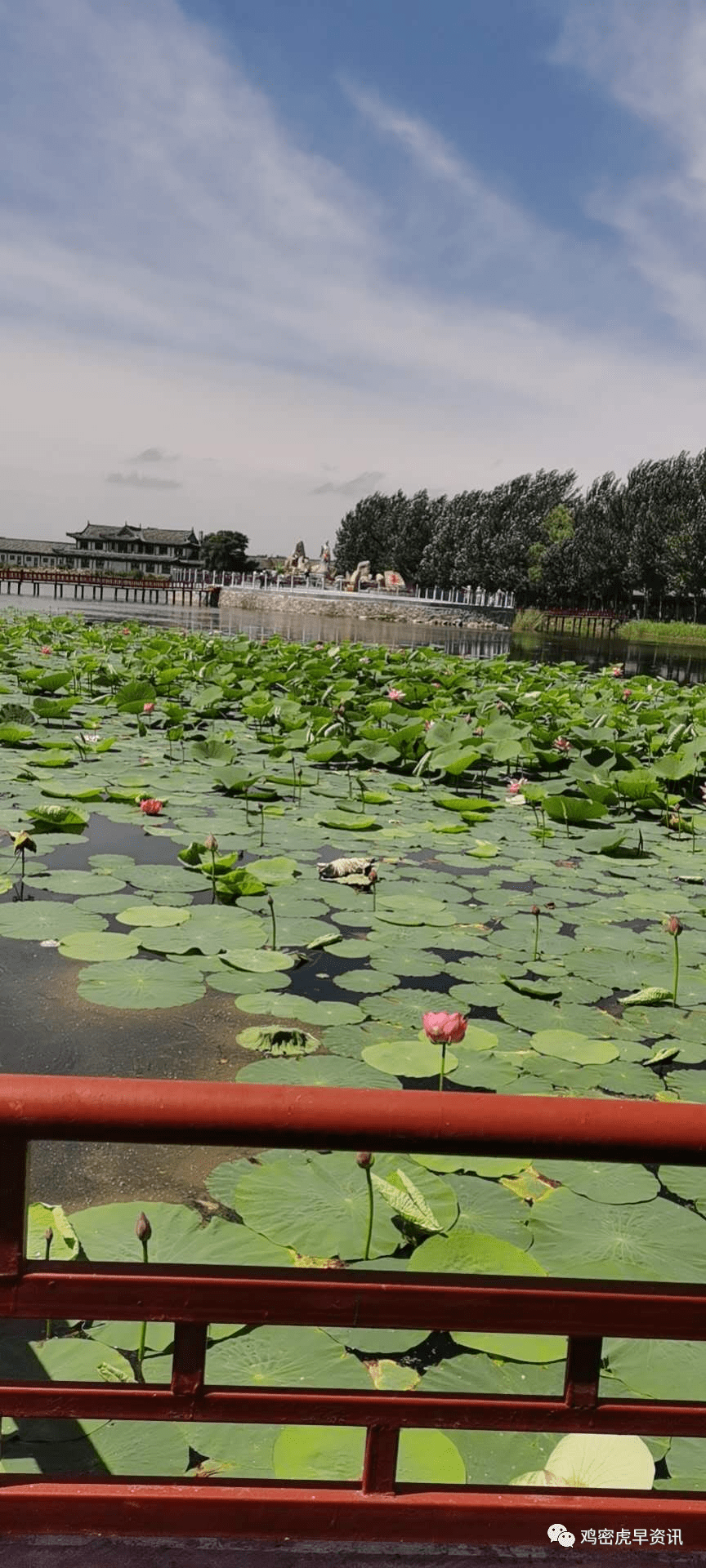 荷香园拟授予国家3a级旅游景区称号,10月7日正式闭园!