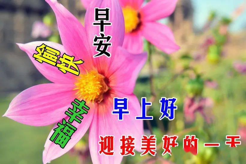 9月25日最漂亮早上好動態表情圖片大全早晨好動圖美圖大全