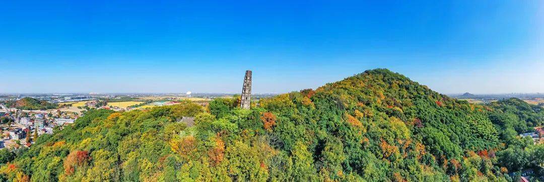 到天马山听森林音乐会,还有山林市集等你约!