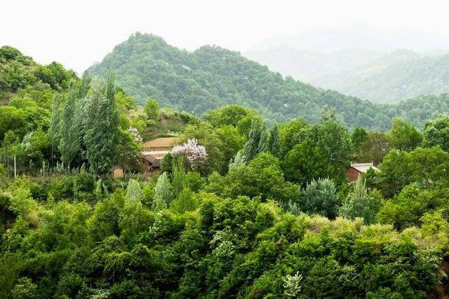 宝鸡版的桃花源陇县八渡牛心山大力村游记