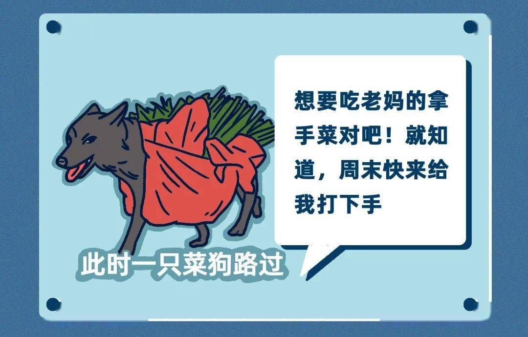 90后聊骚社交新话术docx