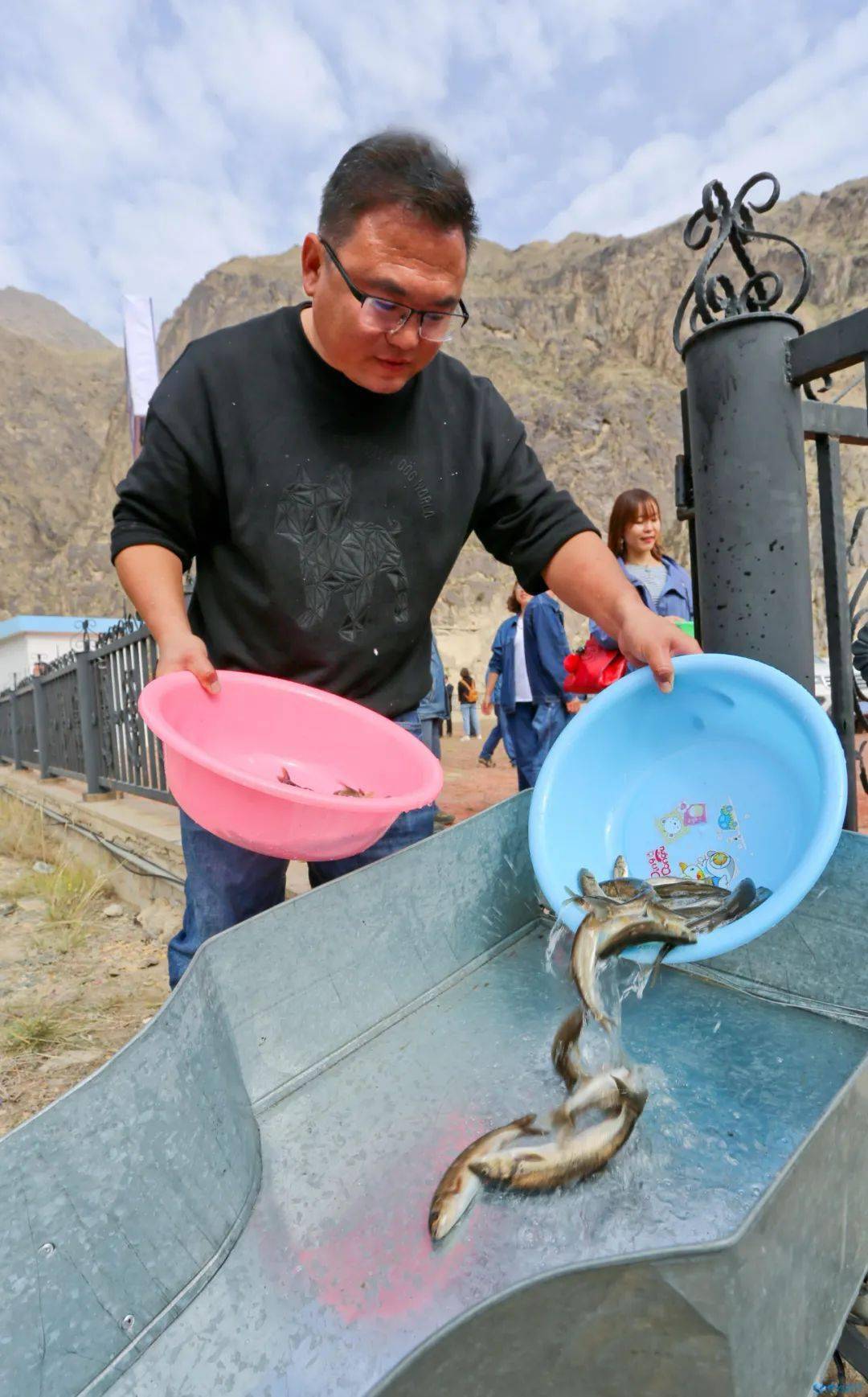 张掖甘州:裸鲤跳跃入黑河