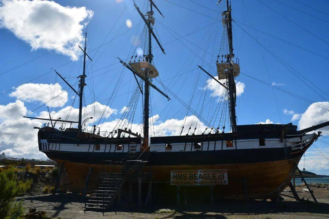 达尔文曾到过的孤岛竟隐藏着进化之谜