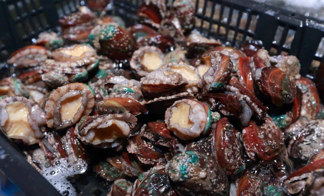 活海鲜 鹅肝 羊排 芝士大虾.无限美味轮番刷!_手机搜狐网