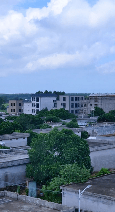 雷州纪家迈本村真美萍水相逢演唱雷歌我爱故乡词返老还童