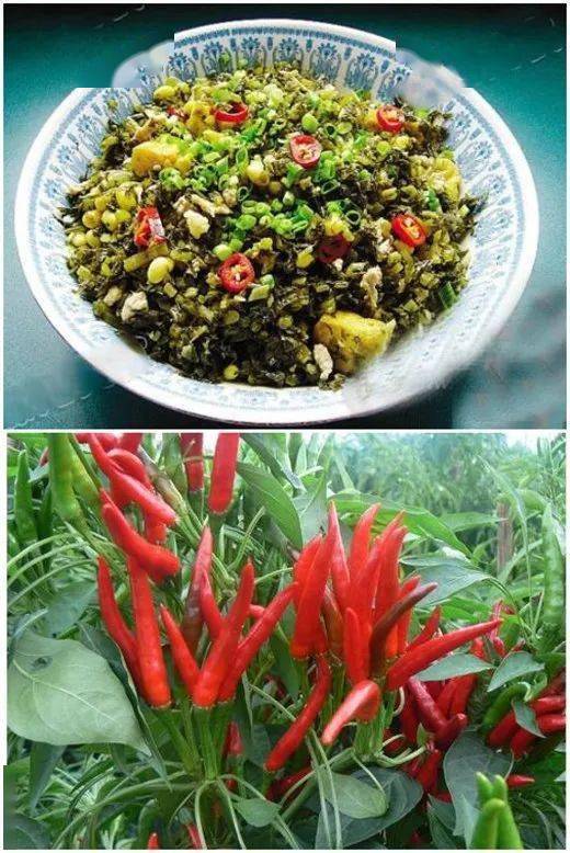 盘点_凤台