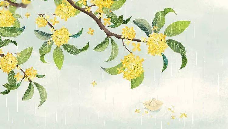 赏花秋风起桂花香渝北这些赏桂胜地走起