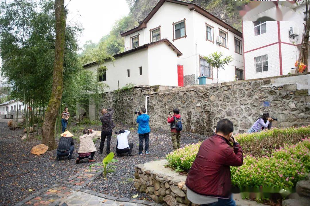 乡村振兴看试点走进小沟村刘家坪村