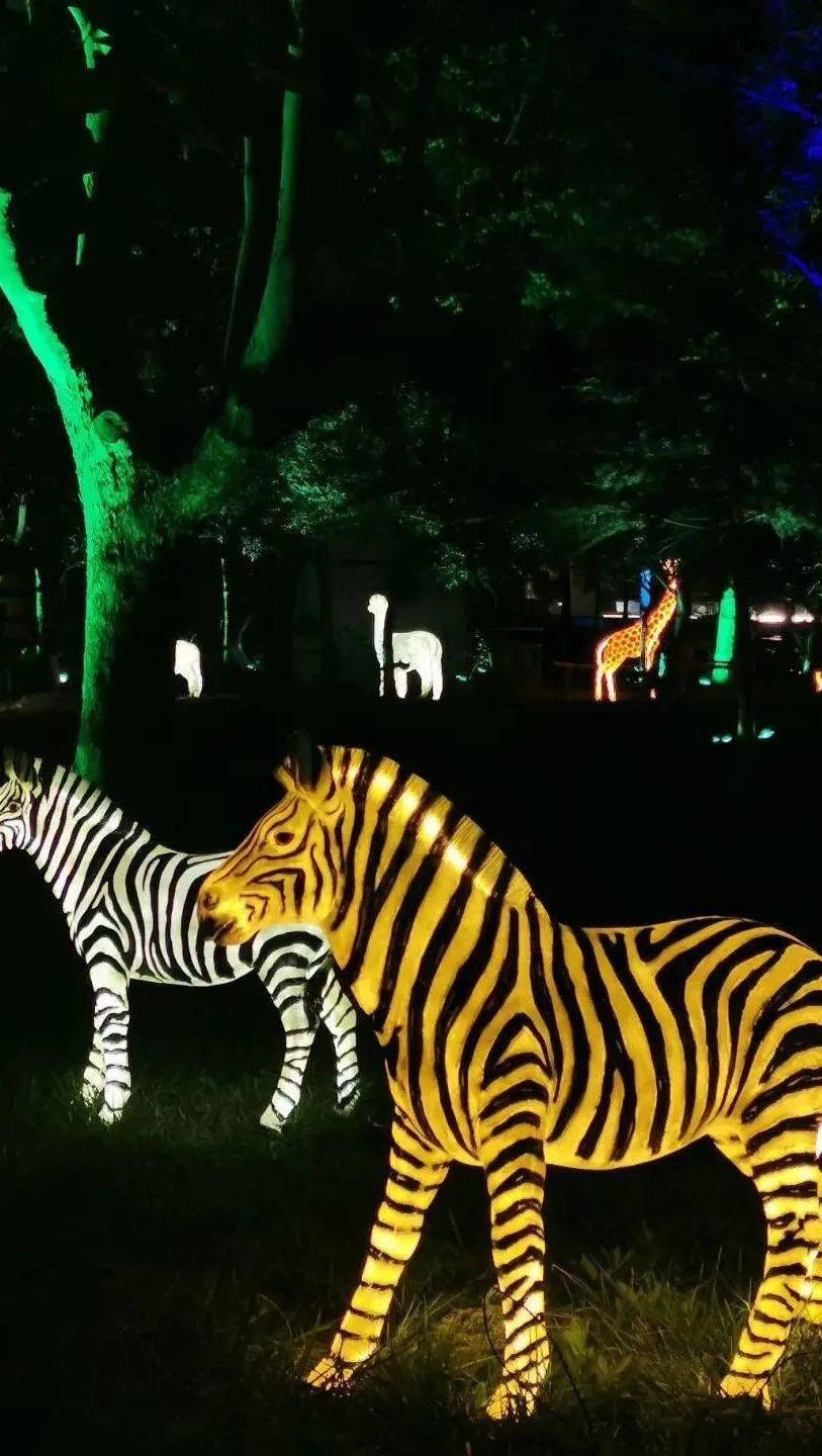东营动物园灯会时间图片