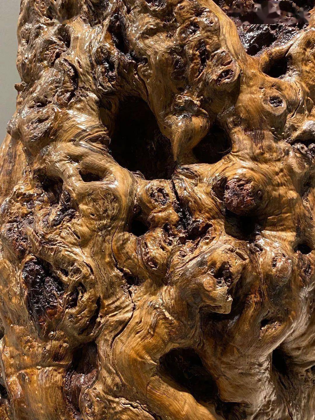 这是取材自一棵长满了树瘤的百年老枣树的树幹所制