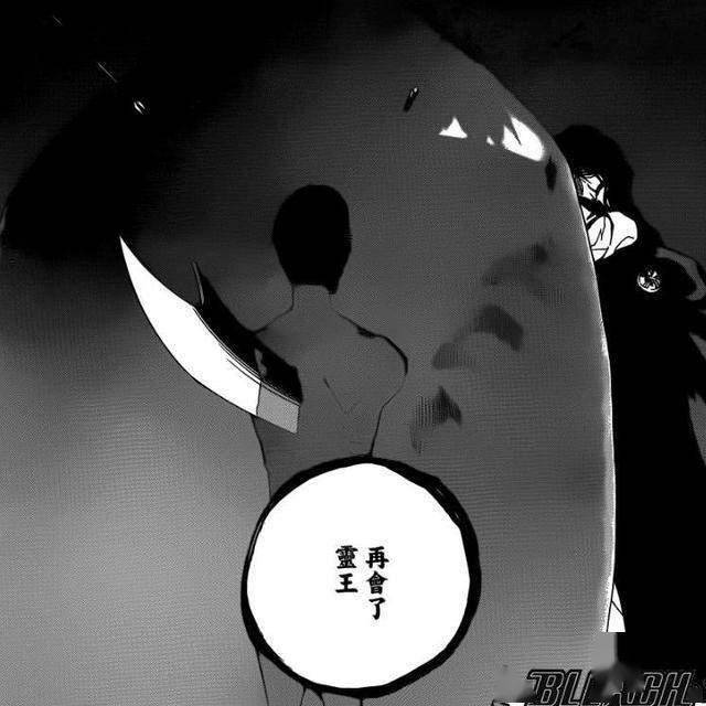死神友哈巴赫寂寞千年见灵王认父见灭却师认子