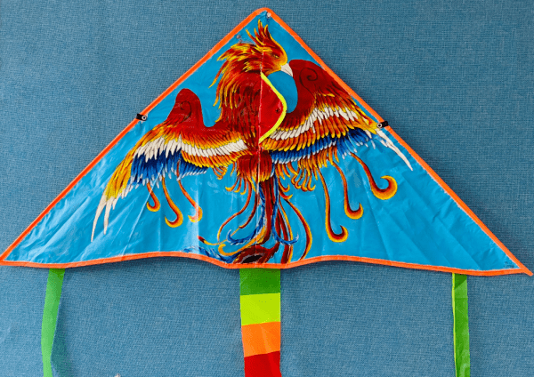 越秀萌娃办展啦明天起中国扇中国风筝作品等你来赏