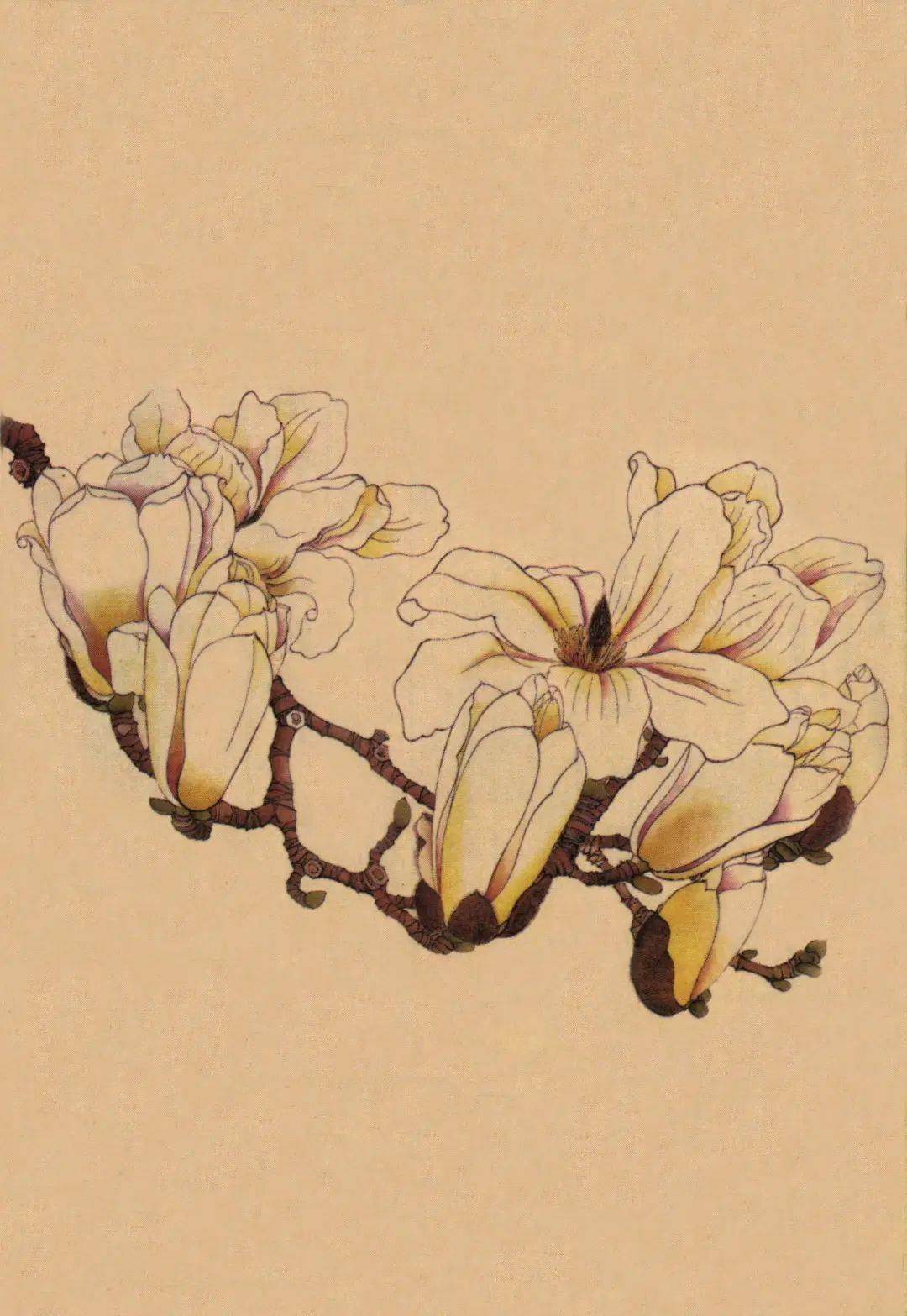 十二主题云展览丨寻花