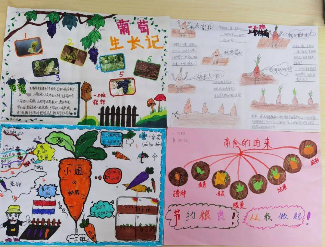 让孩子们知道了各种粮食的来之不易以及生长过程,也知道了食物的制作