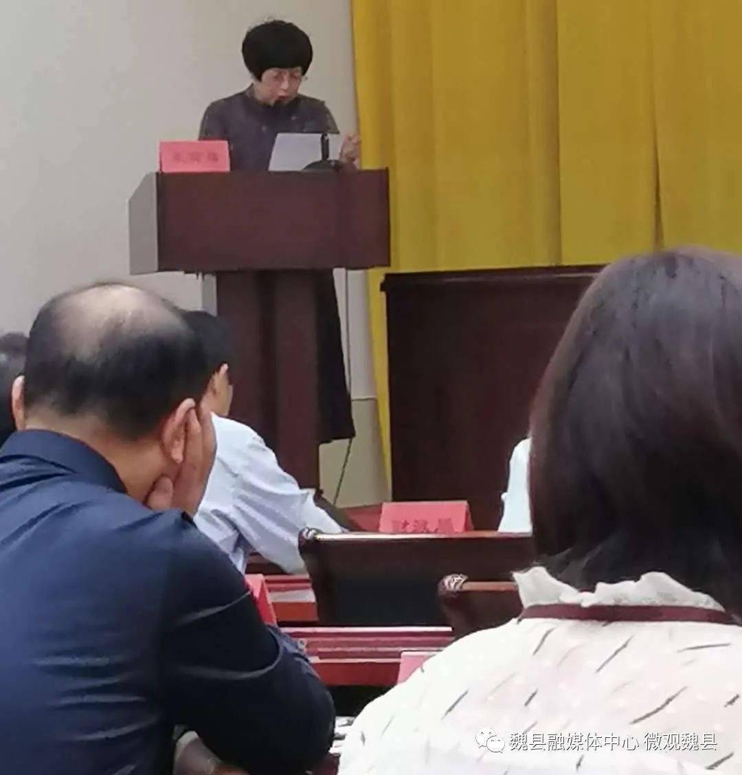 县政府副县长李燕做了重要讲话.