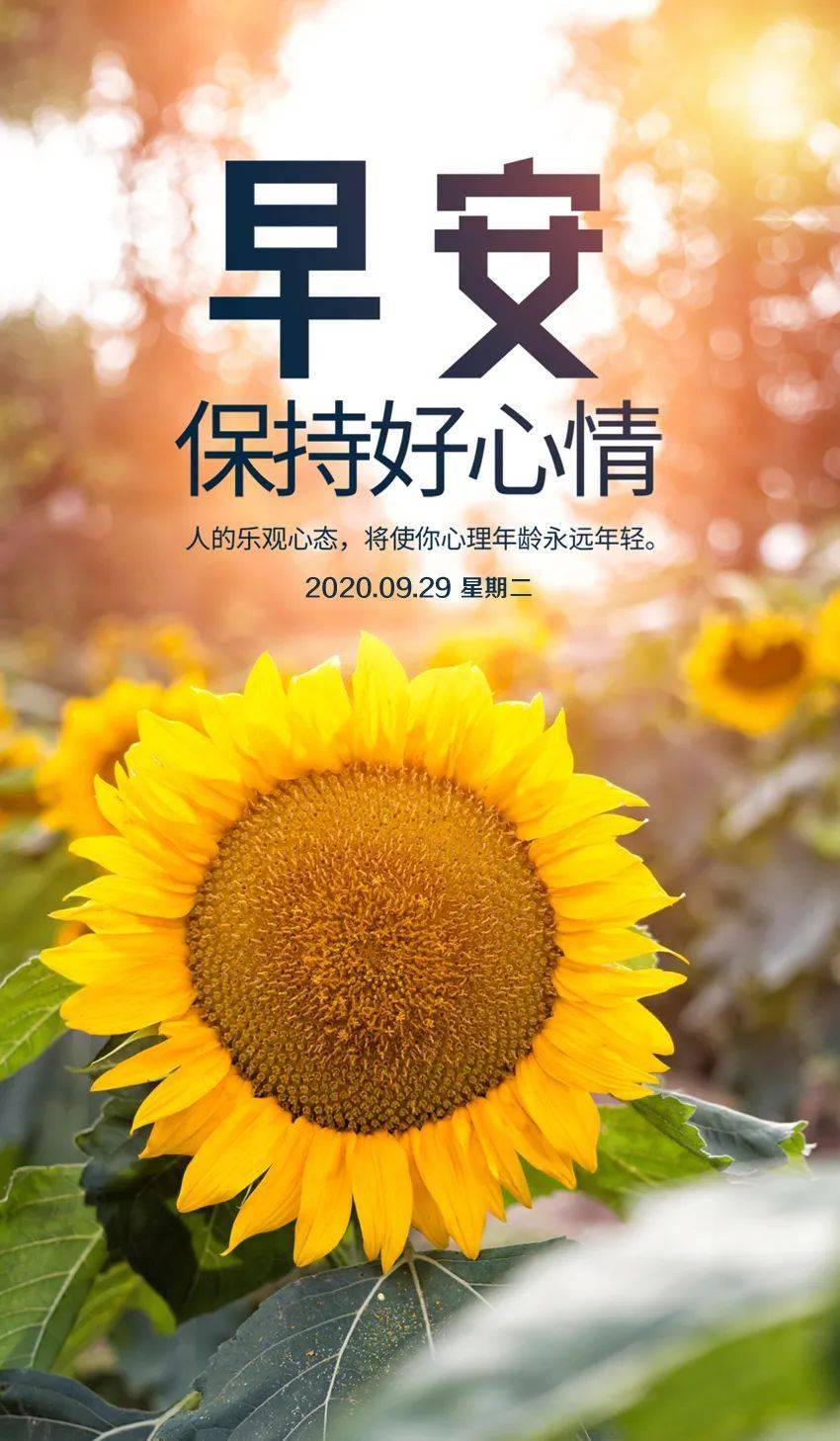 9月29日早安心語正能量戳心語錄句子早安經典語錄簽名正能量配圖片