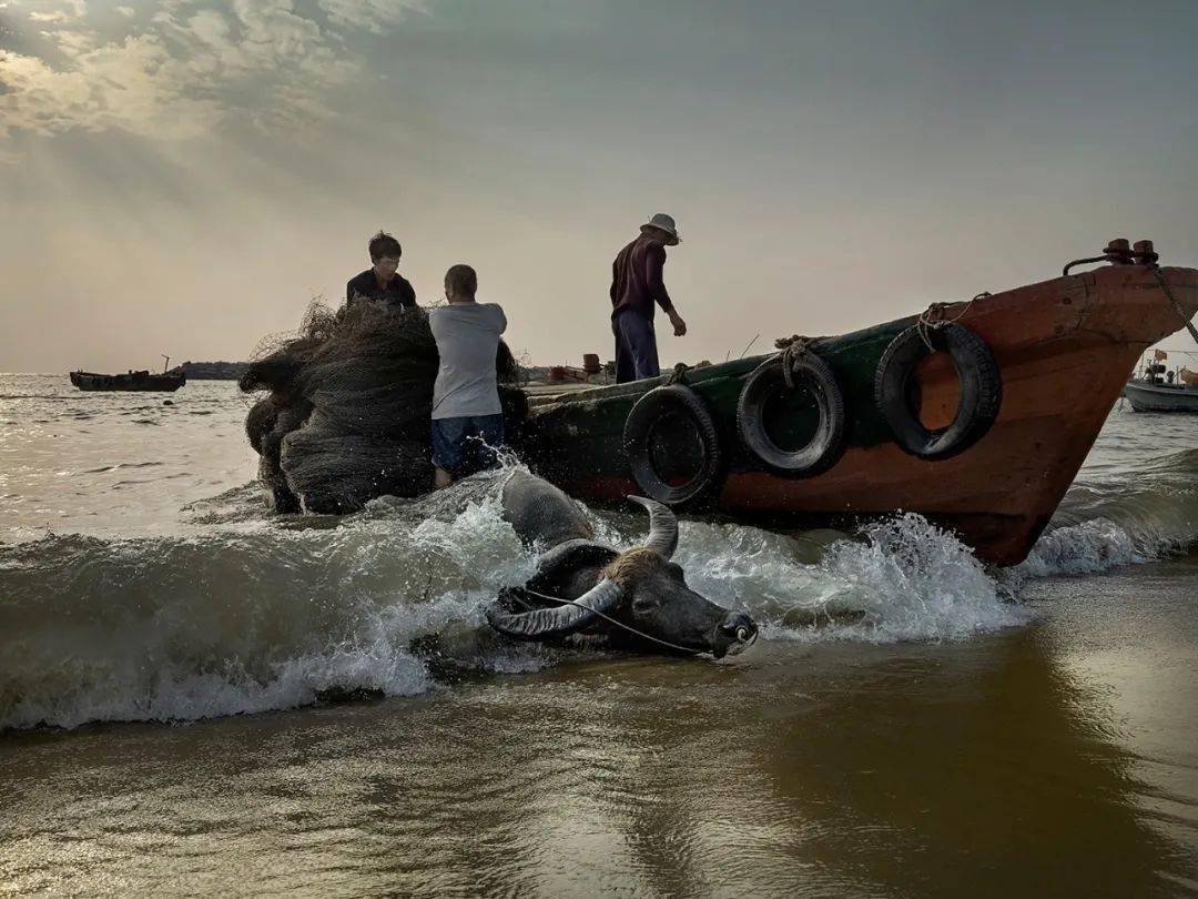 【人文纪实】津门网刘品:莺歌如海 —— 即将逐步