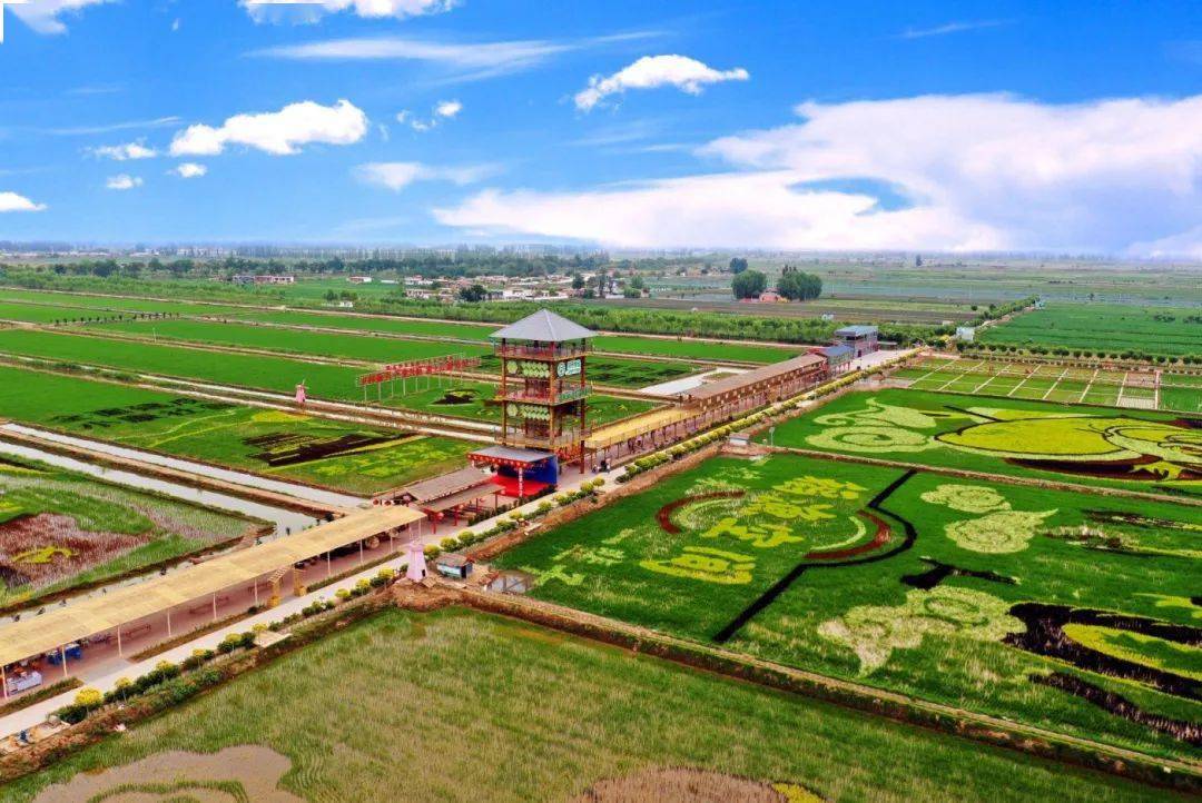 熟蟹肥~来稻渔空间看看秋天的稻田画感受丰收的喜悦品尝肥美的稻田蟹