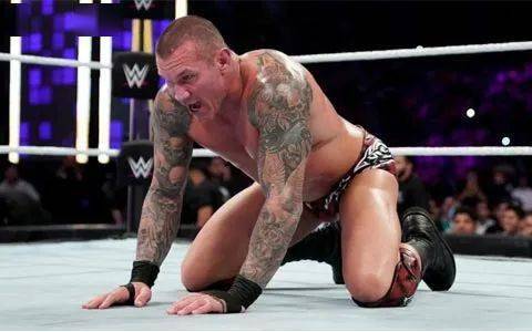 wwe因兰迪·奥顿纹身侵权案被告上法庭!