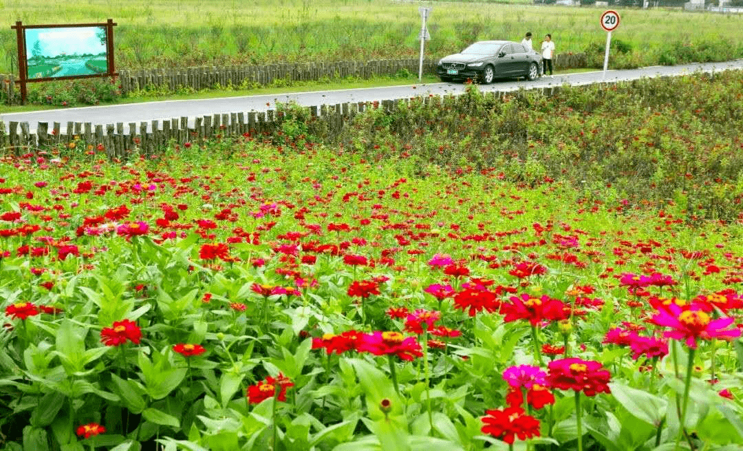 张家港七彩莲园图片图片