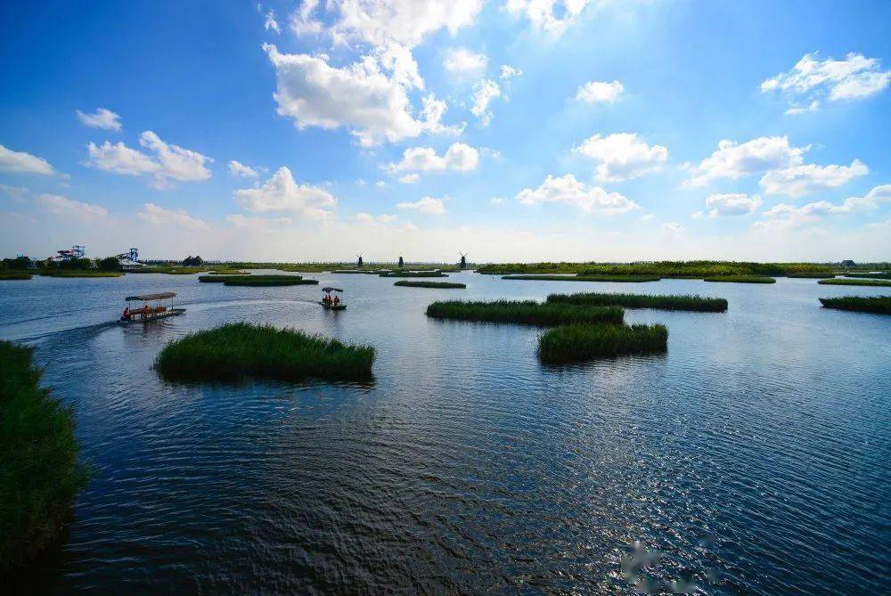 寿光市文化和旅游局局长李伟东为潍坊文旅代言