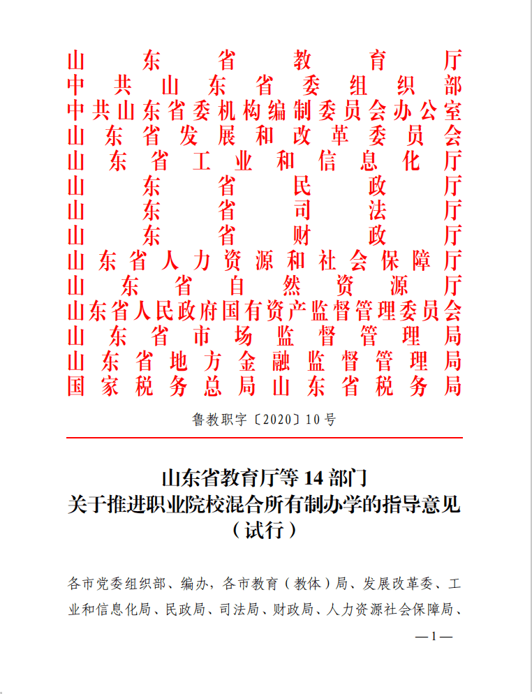 教育部办公厅转发山东省关于推进职业院校混合所有制办学的指导意见