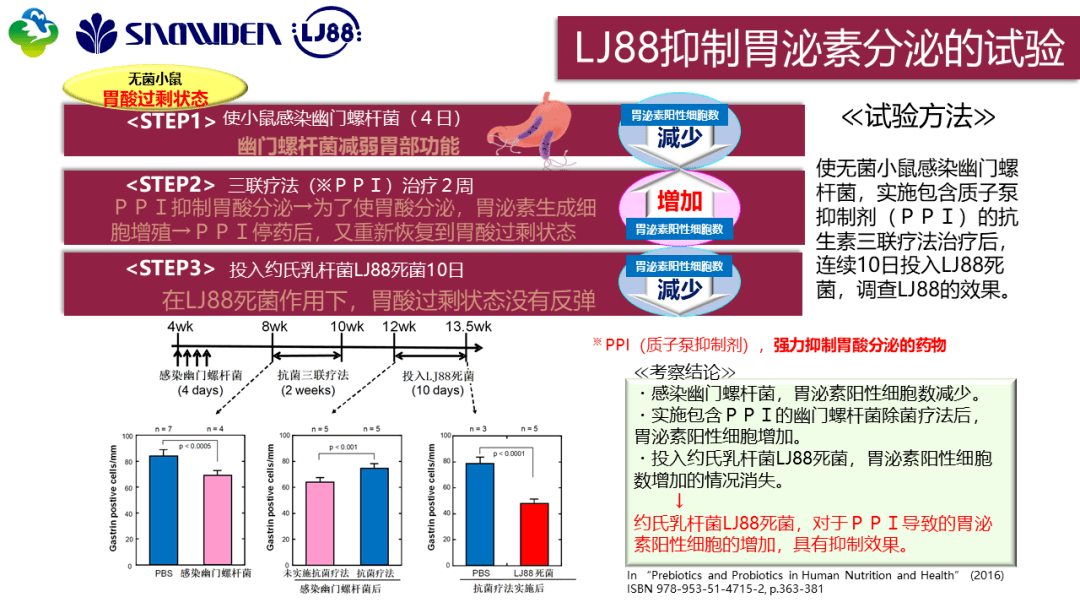 lj88抑制胃泌素分泌的小鼠試驗,使無菌小鼠感染幽門螺桿菌,實施抗生素