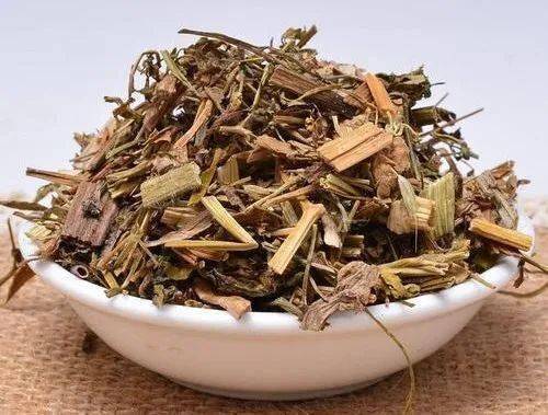 每天学一味中药,白屈菜