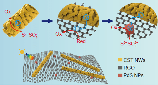中国科学材料2020年第10期专题氧化石墨烯的应用研究