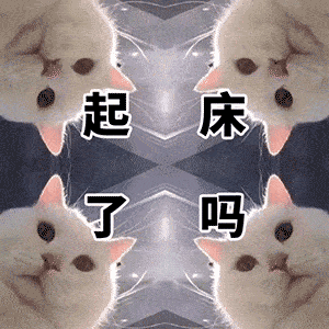 300_300gif 动态图 动图