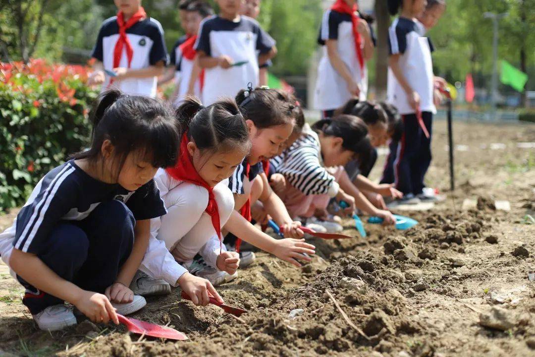 校園動態埋下一顆勤勞的種子收穫一份成長的喜悅記三年級七彩園種植