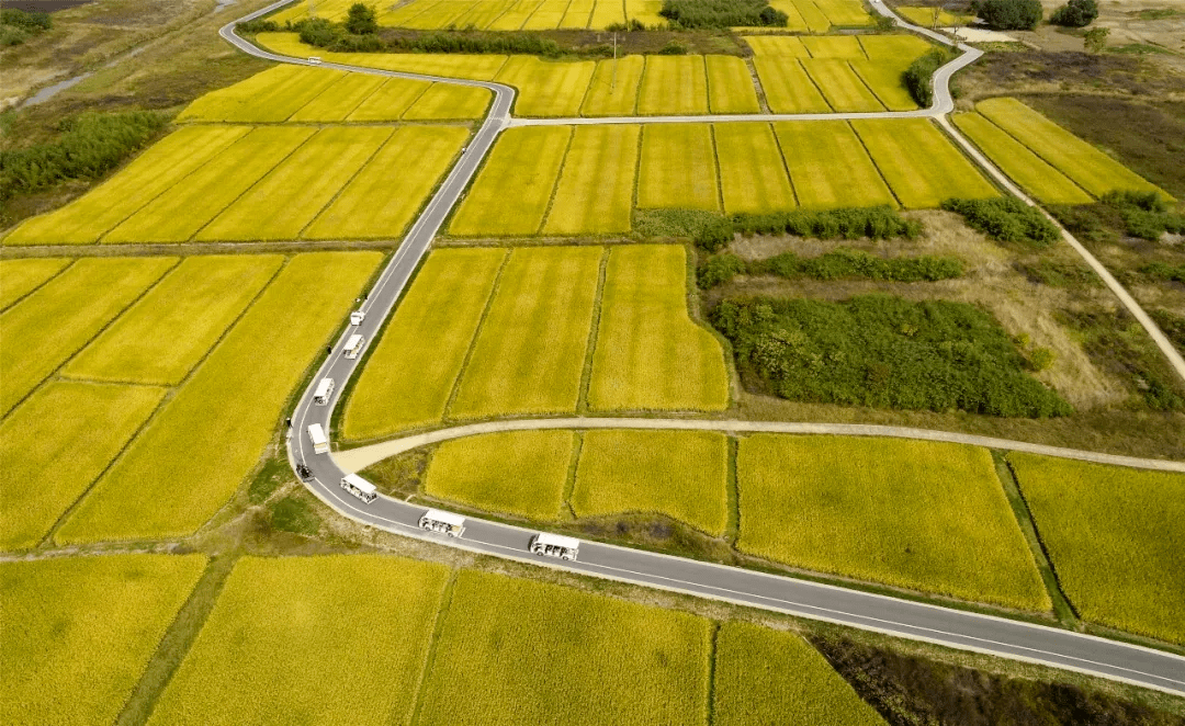 今日杭州冷空气影响明起杭州中雨局部大雨最高温降至20